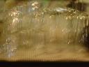 DSC00215.JPG