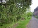 DSC02890.JPG