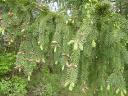 DSC02891.JPG