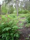 DSC02908.JPG