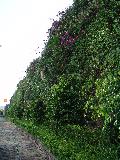 DSC04698.JPG